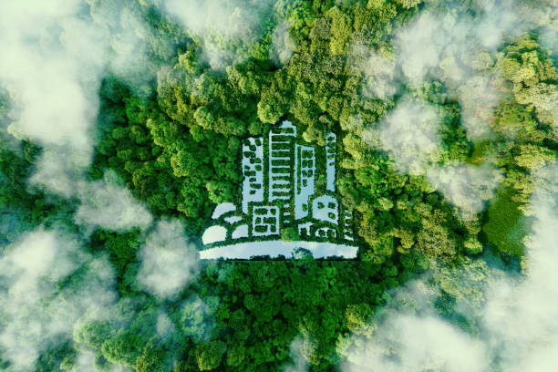 IMG_4581 A city-shaped lake in the middle of a lush forest as a metaphor for eco-friendly urbanism and modern green living in general. 3D rendering.